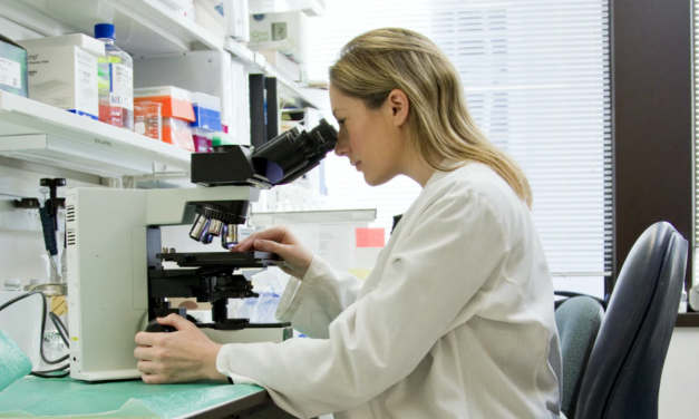 UCL BIND post-doctoral position