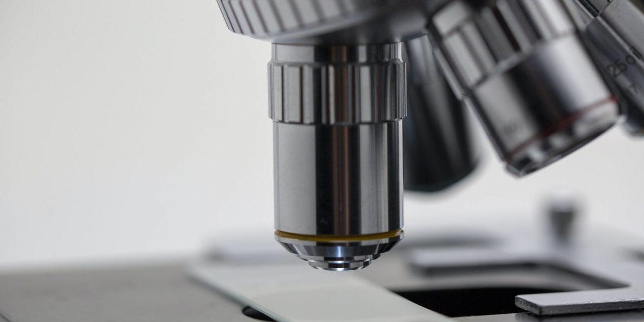 UCM BIND post-doctoral position