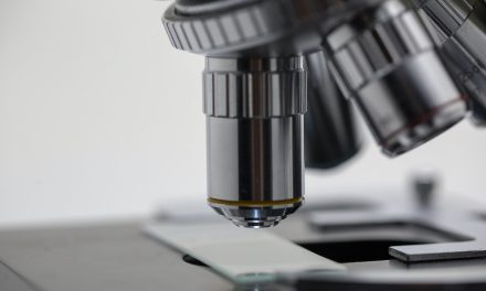 UCM BIND post-doctoral position