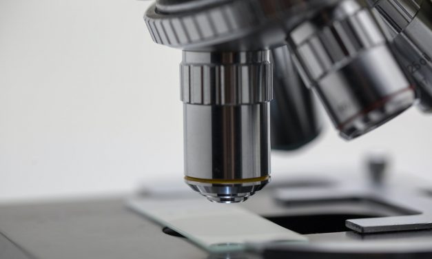 UCM BIND post-doctoral position