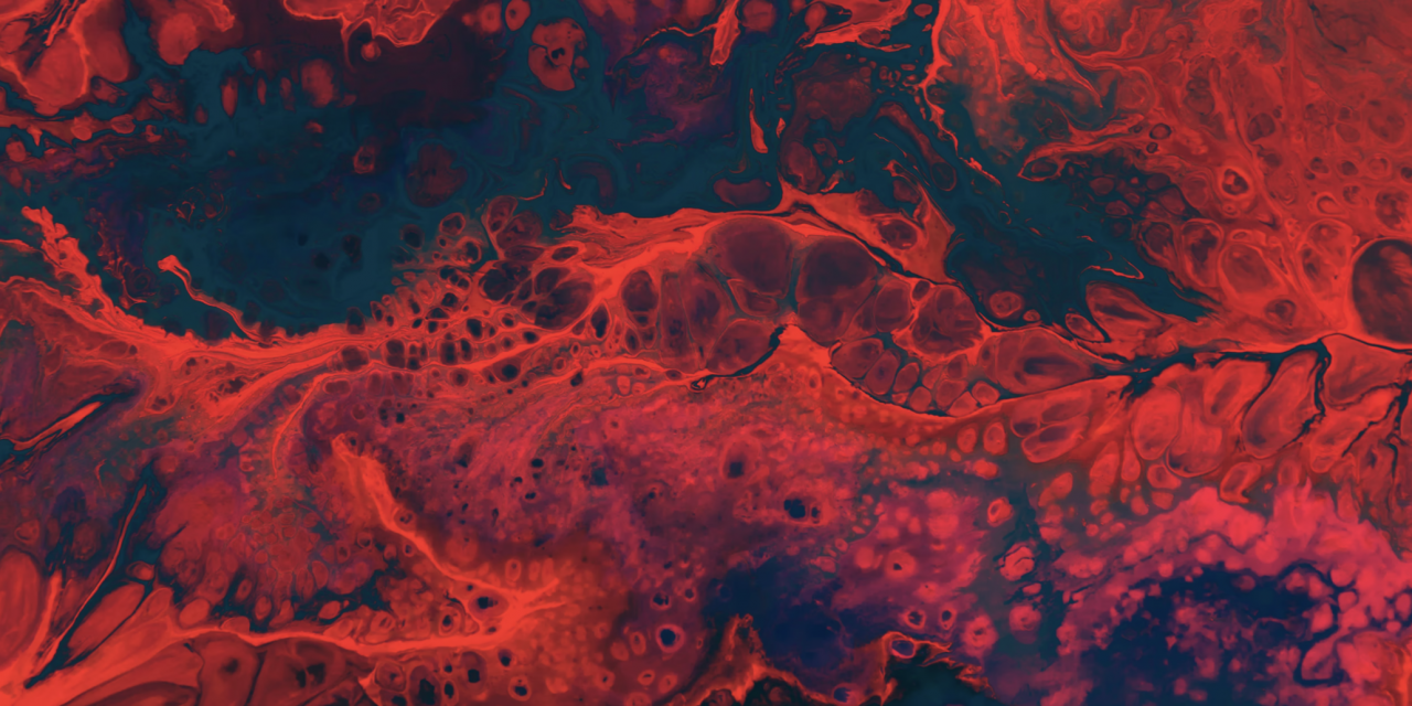 BIND researchers provide a model for studying learning and behaviour challenges in Duchenne MD