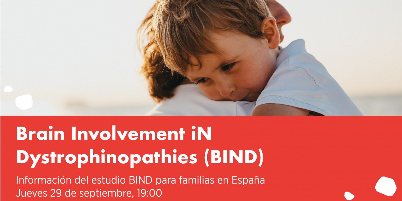 Webinar: Información del Estudio BIND para Familias en España