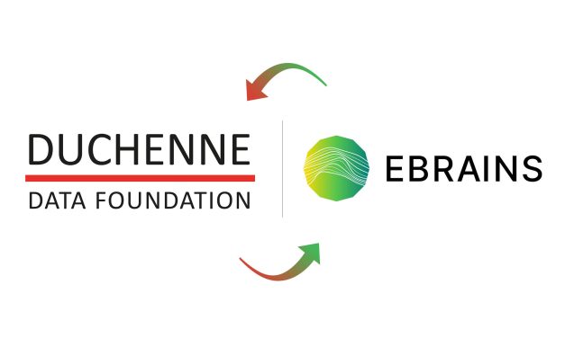 Promote Sharing of DMD Brain Data to Enhance Research: DDF & EBRAINS Collaboration