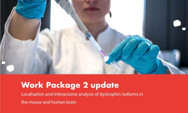 Localisation and interactome analysis of dystrophin isoforms in the mouse and human brain