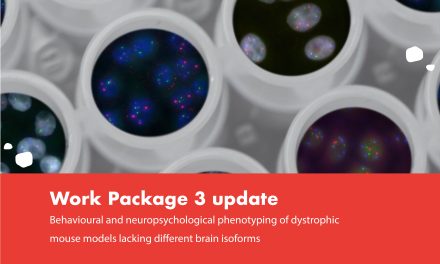 Behavioural and neuropsychological phenotyping of dystrophic mouse models lacking different brain isoforms
