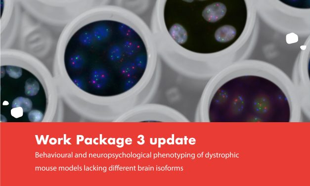Behavioural and neuropsychological phenotyping of dystrophic mouse models lacking different brain isoforms