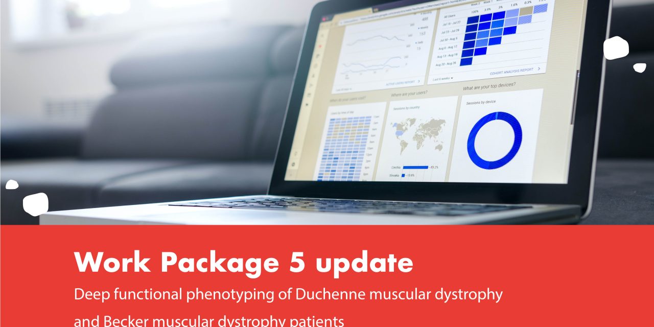 Deep functional phenotyping of Duchenne muscular dystrophy and Becker muscular dystrophy patients