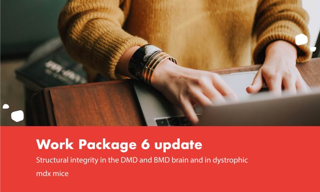 Structural integrity in the DMD and BMD brain and in dystrophic mdx mice